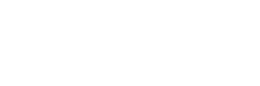 LOGO WIT security systems