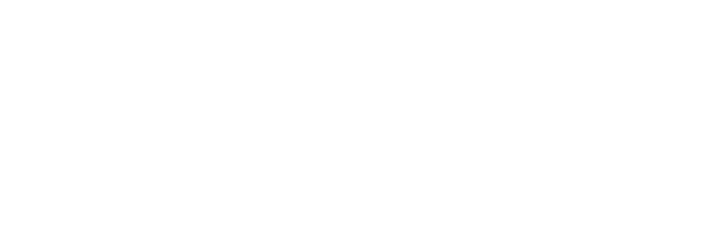 LOGO WIT Partnership