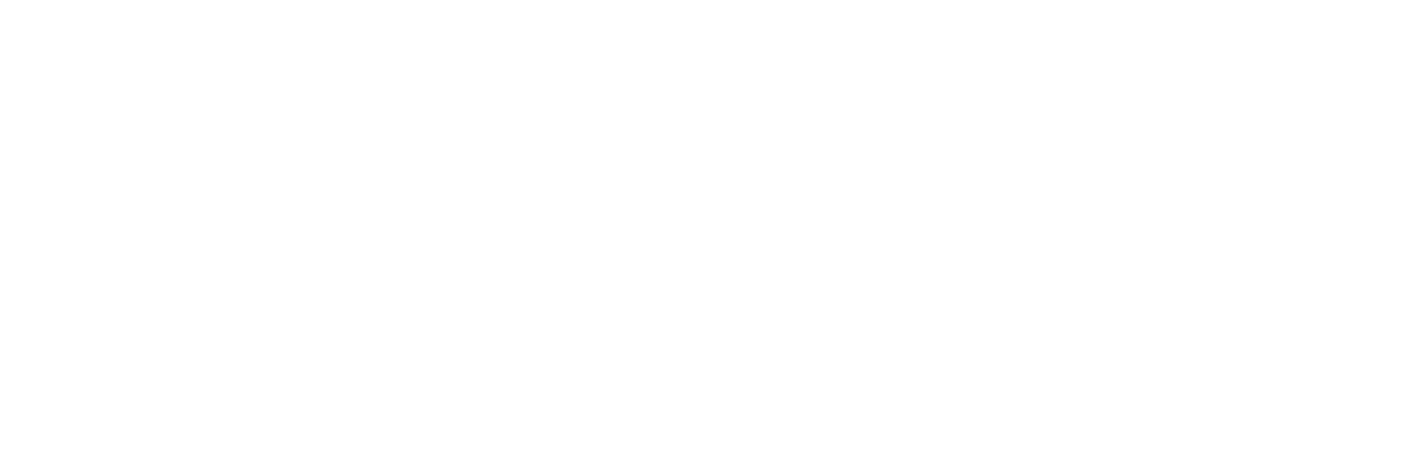 LOGO WIT Partnership