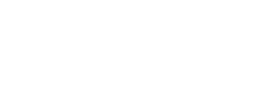 LOGO WIT vulnerability scan