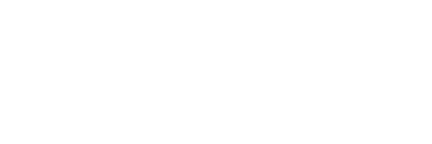 LOGO WIT vulnerability scan